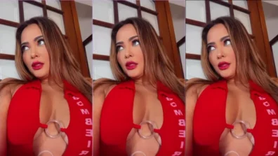 Famosinha Geisy Arruda toda safada usando uma lingerie vermelha