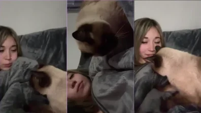 Vazou video da mewslut pelada na cama